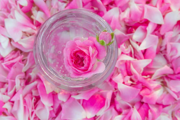 تصویر 1 از خرید و قیمت گلاب صادراتی + فروش عمده